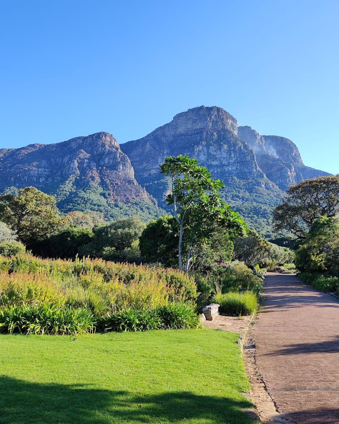 Jardin botanique national Kirstenbosch