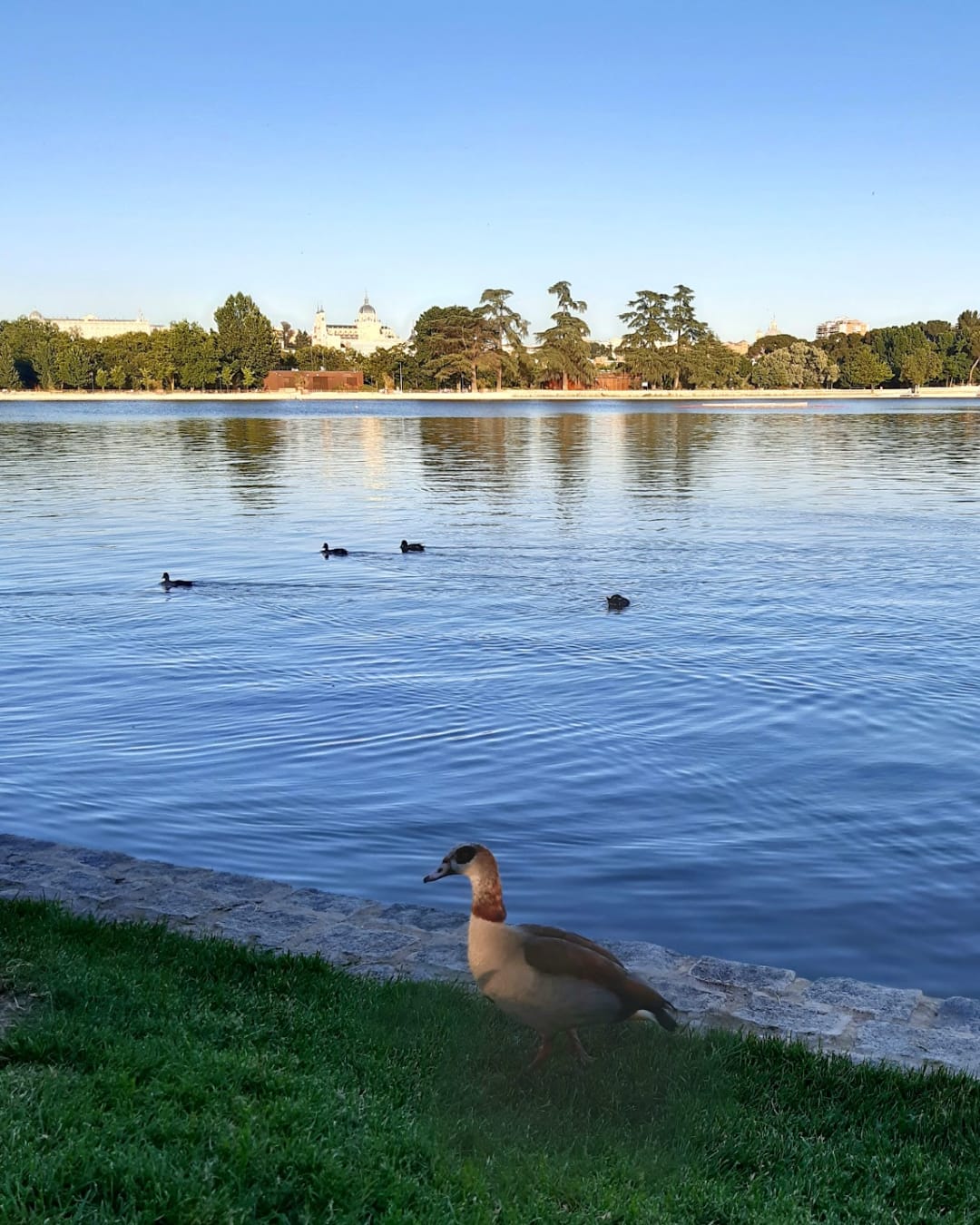 Lac de la Casa de Campo