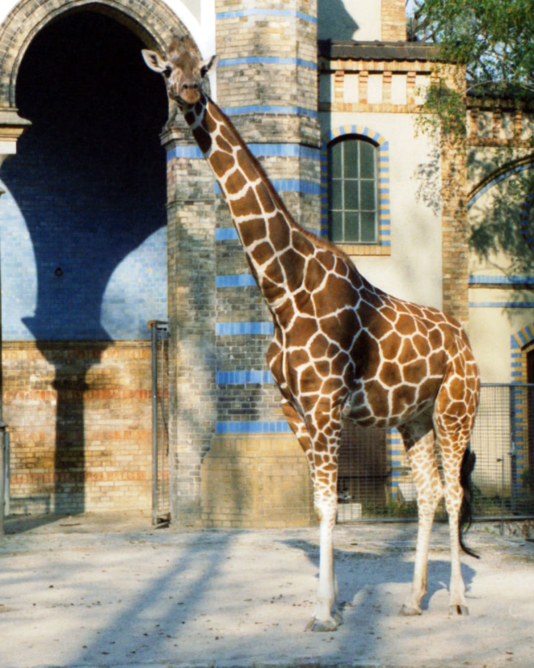 Zoo de Berlin