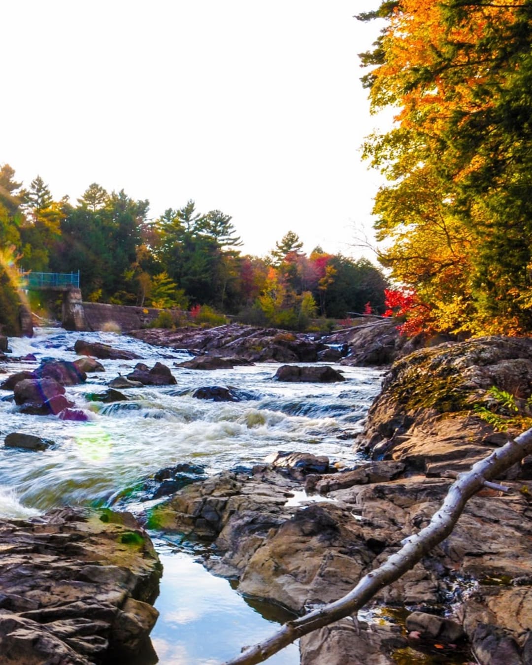 Parc régional de la Rivière-du-Nord | Chutes Wilson (baignade interdite)