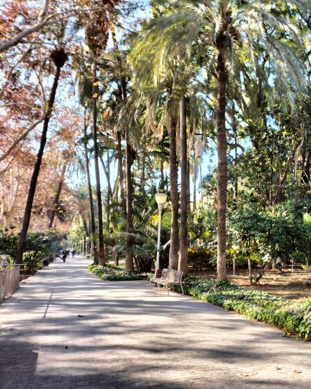 Málaga Park