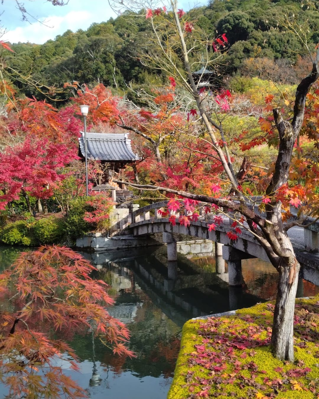 Eikan-dō Zenrin-ji