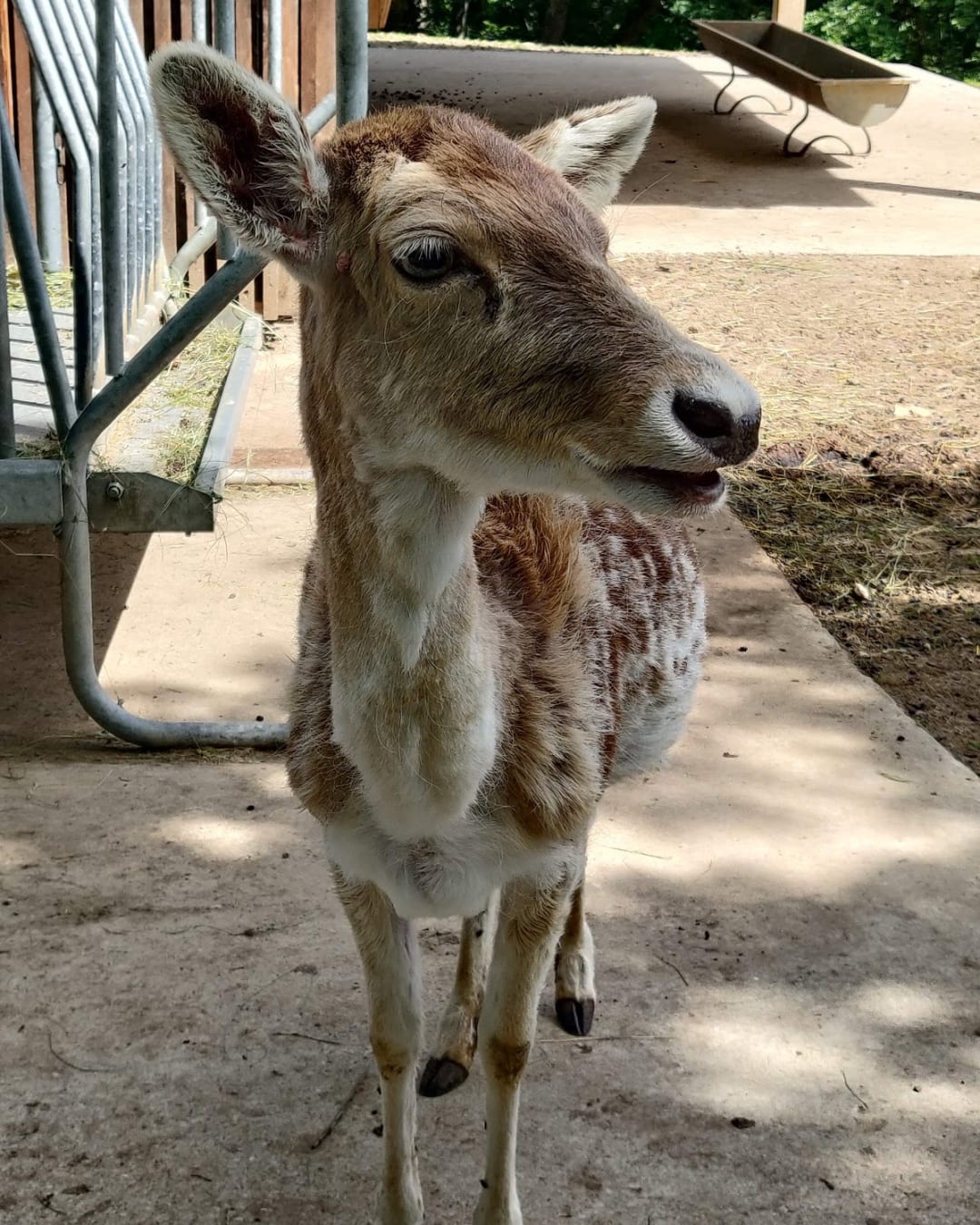 Parc Animalier de la Grande Jeanne