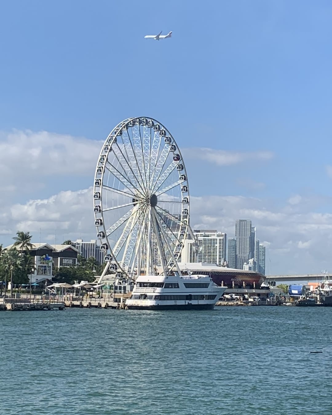 Skyviews Miami Observation Wheel