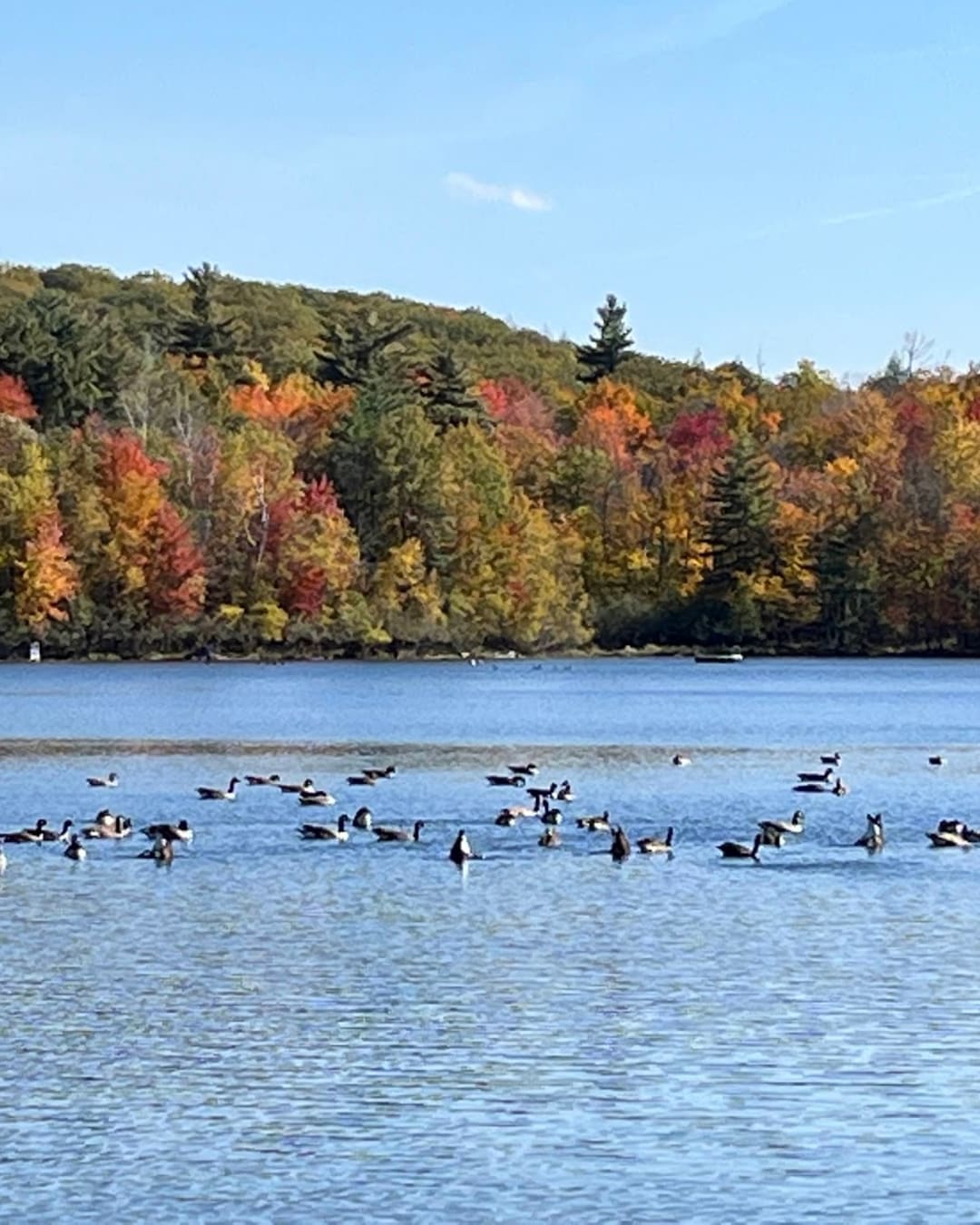 Parc national du Mont-Saint-Bruno