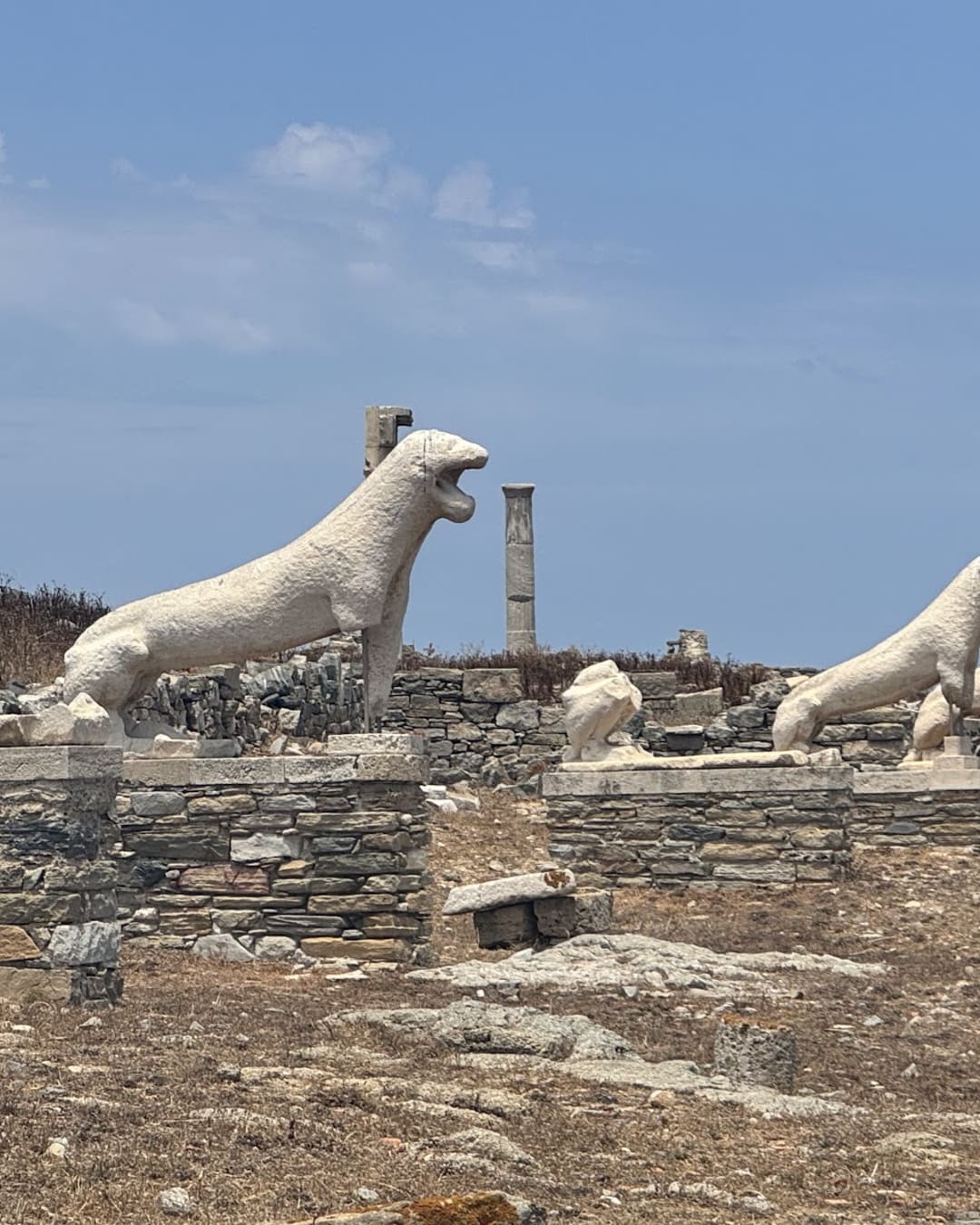 Terrasse des Lions