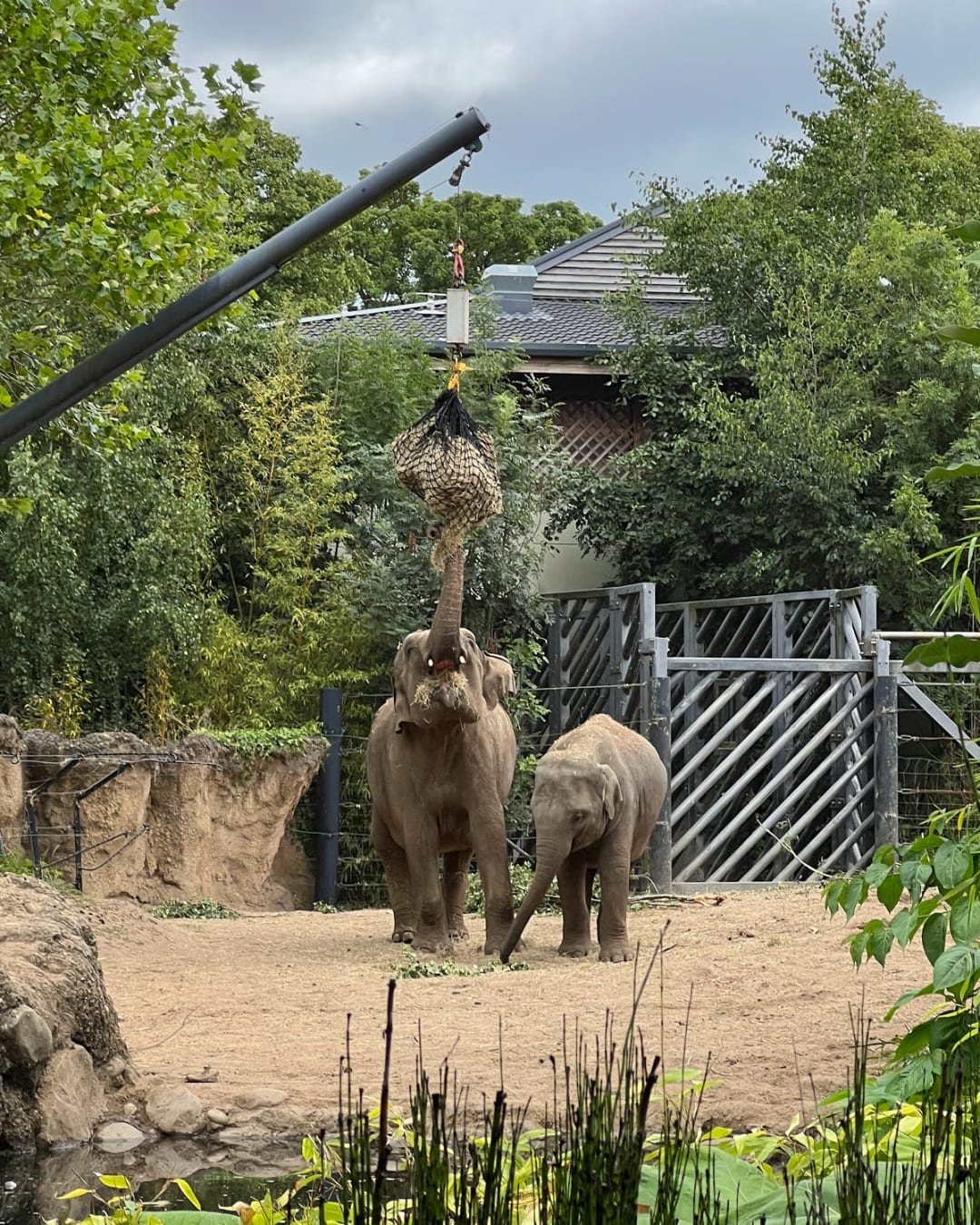 Zoo de Dublin