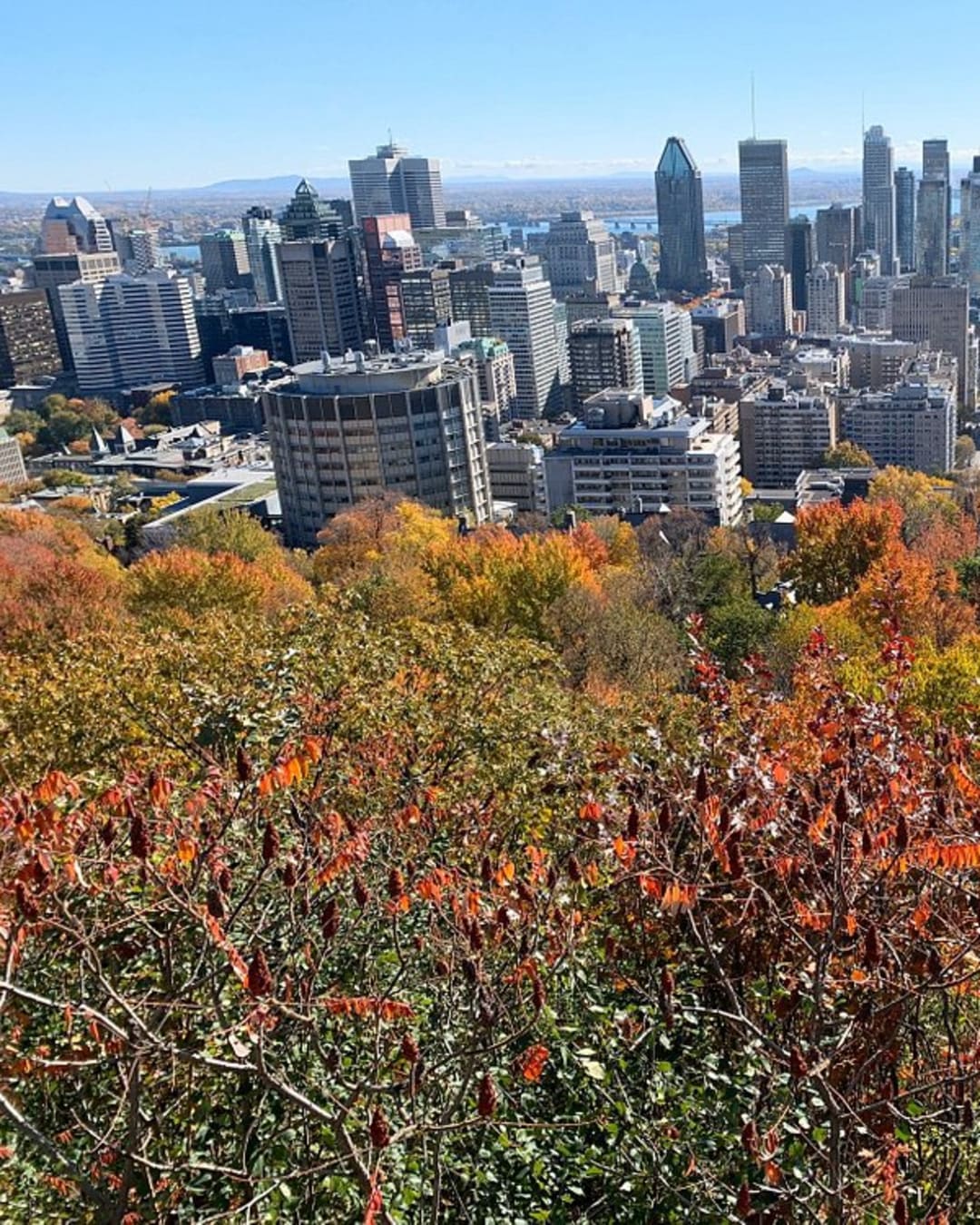 Parc du Mont-Royal