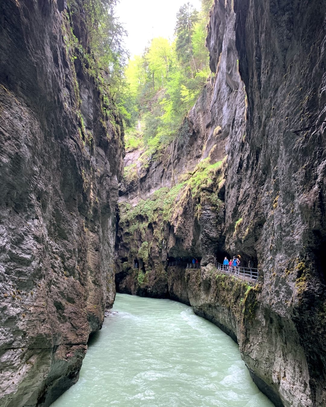 Gorges de l'Aar