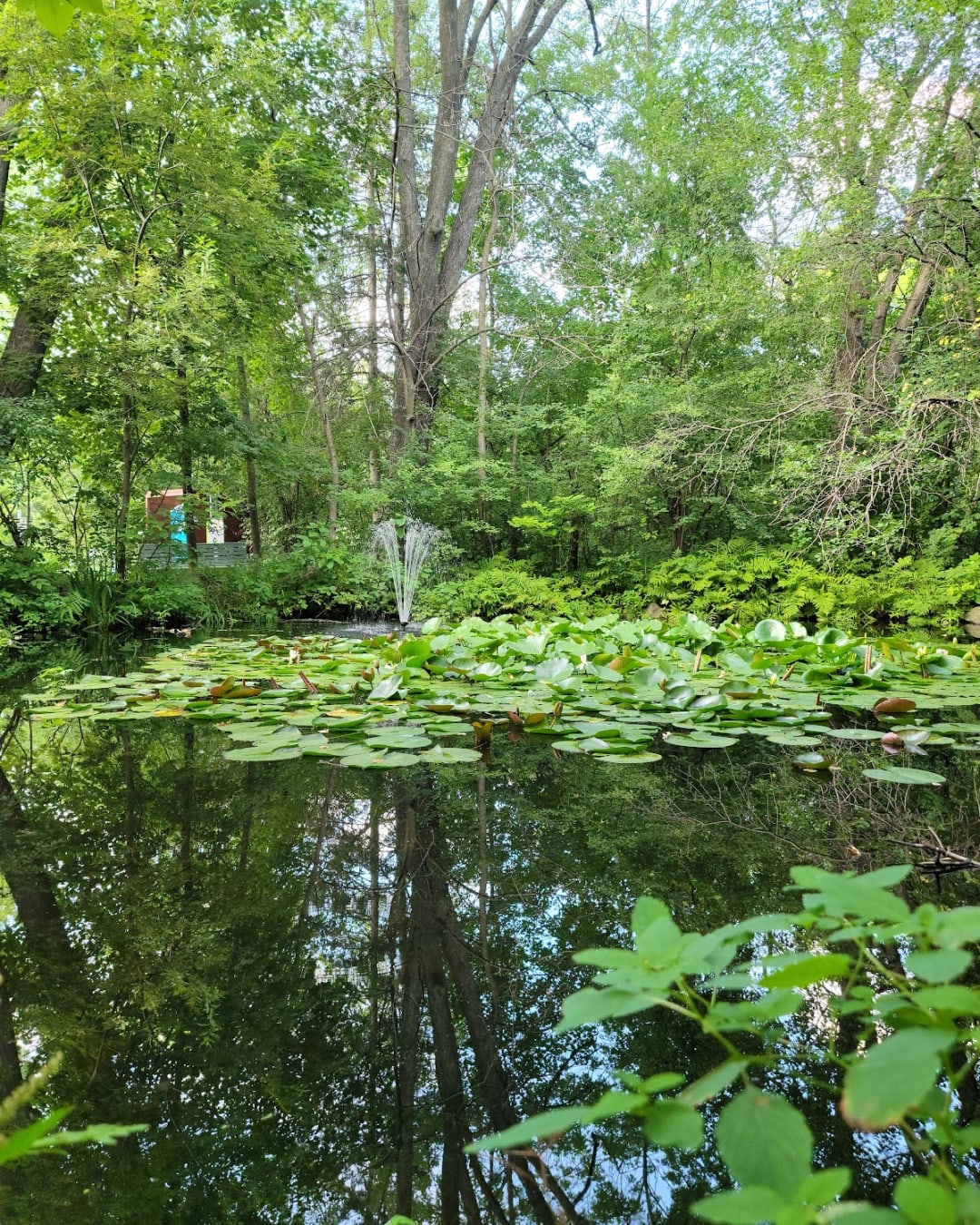 Parc-nature du Bois-de-Liesse