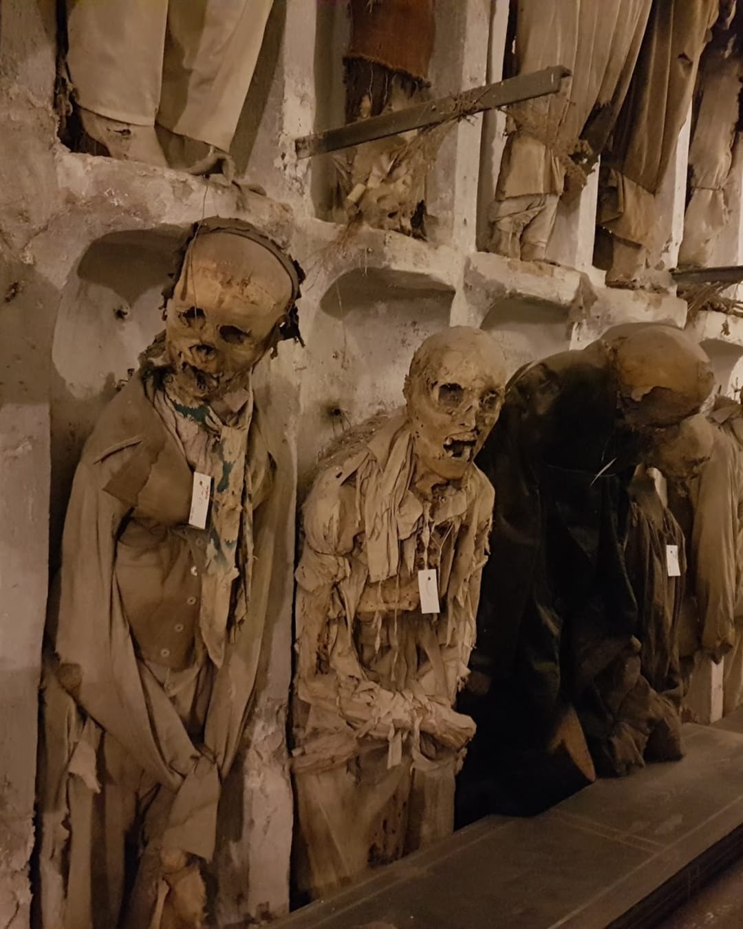 Catacombes des capucins