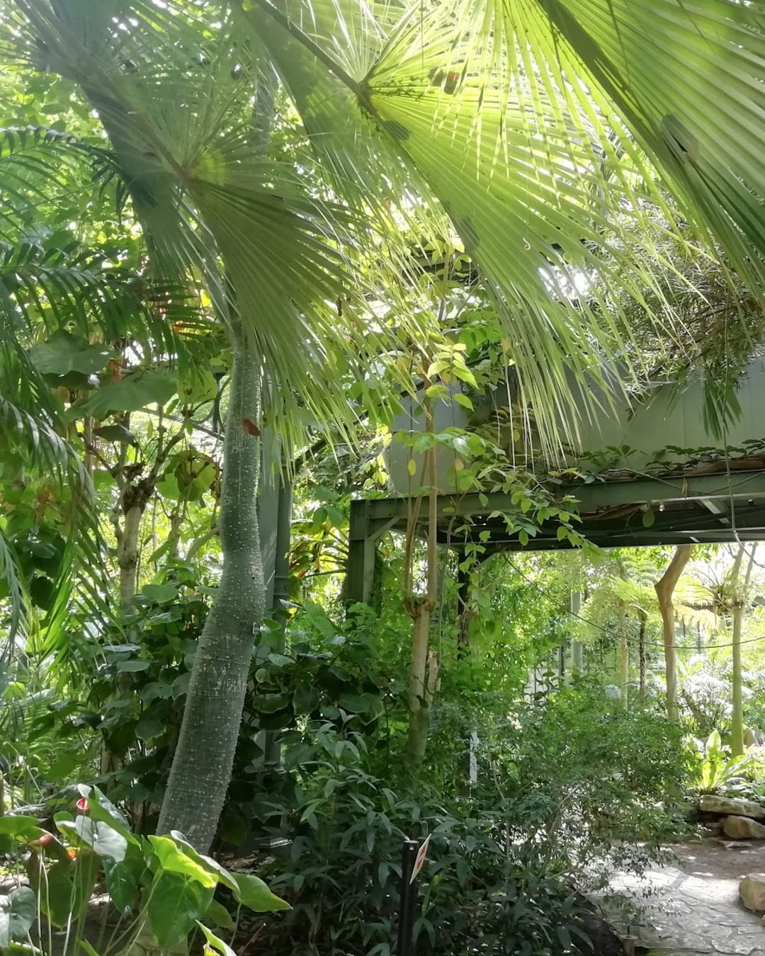 Jardin Botanique de Lyon