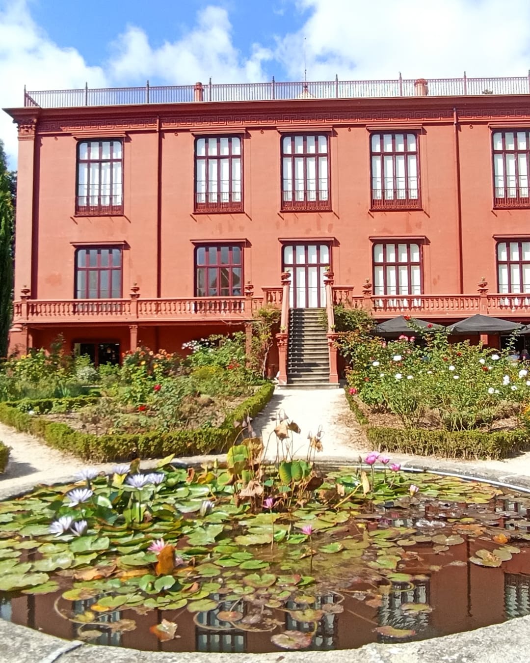 Jardim Botânico do Porto | Museu de História Natural e da Ciência da U.Porto