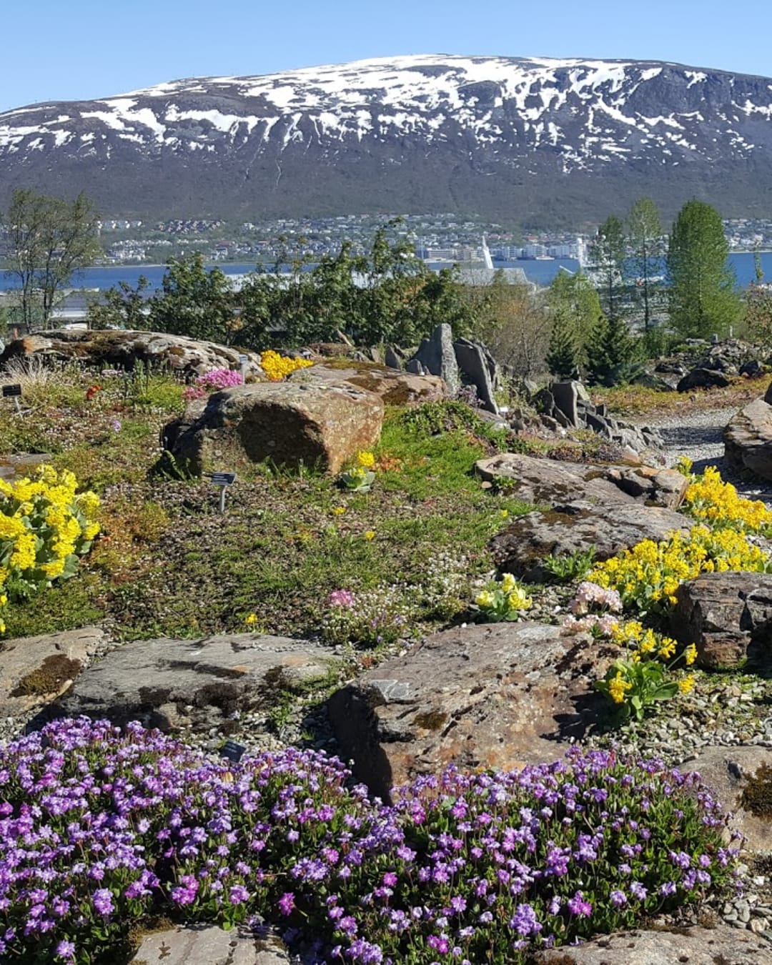 Arctic–Alpine Botanic Garden