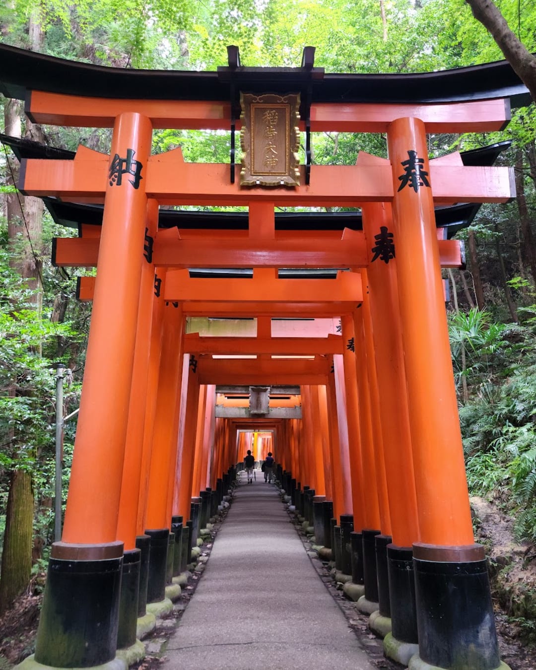 Fushimi Inari-taisha