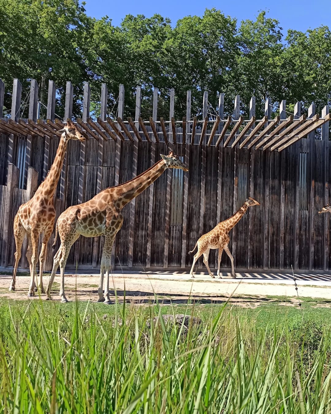 Zoo de Lyon