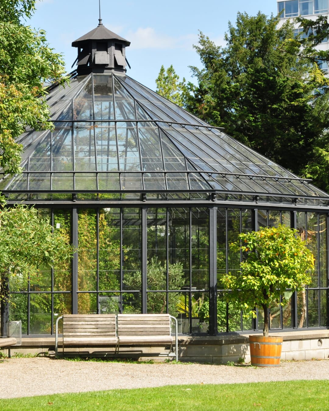 Ancien Jardin Botanique