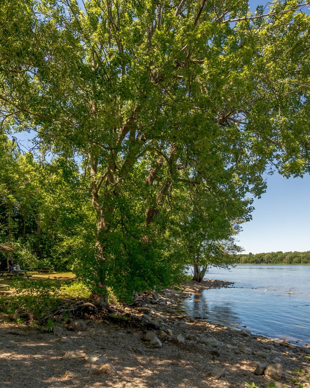 Parc-nature du Cap-Saint-Jacques